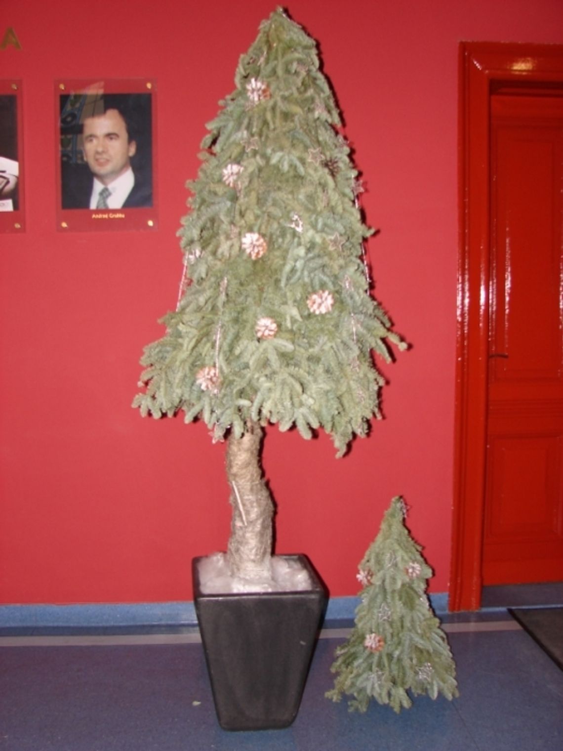 Jak Wam się podoba choinka w Urzędzie Miasta? Jak Wam się podoba choinka w Urzędzie Miasta?