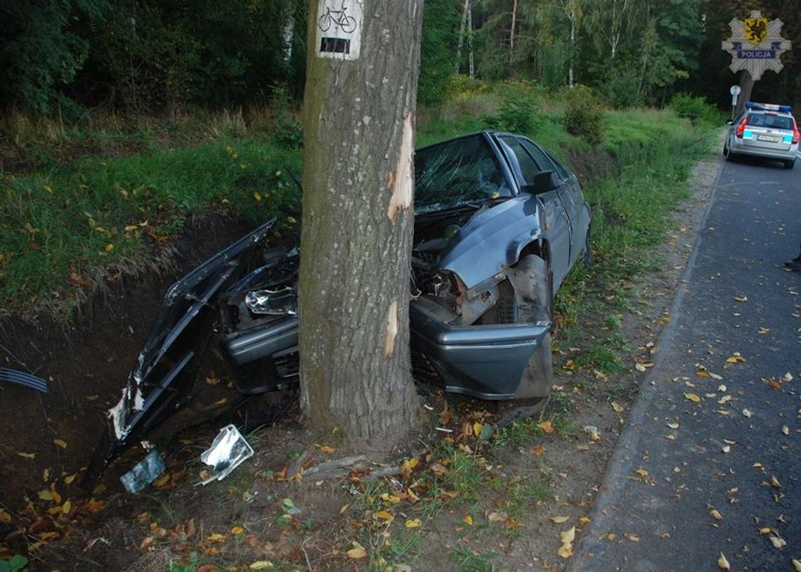 Jazdę zakończył na drzewie Jazdę zakończył na drzewie