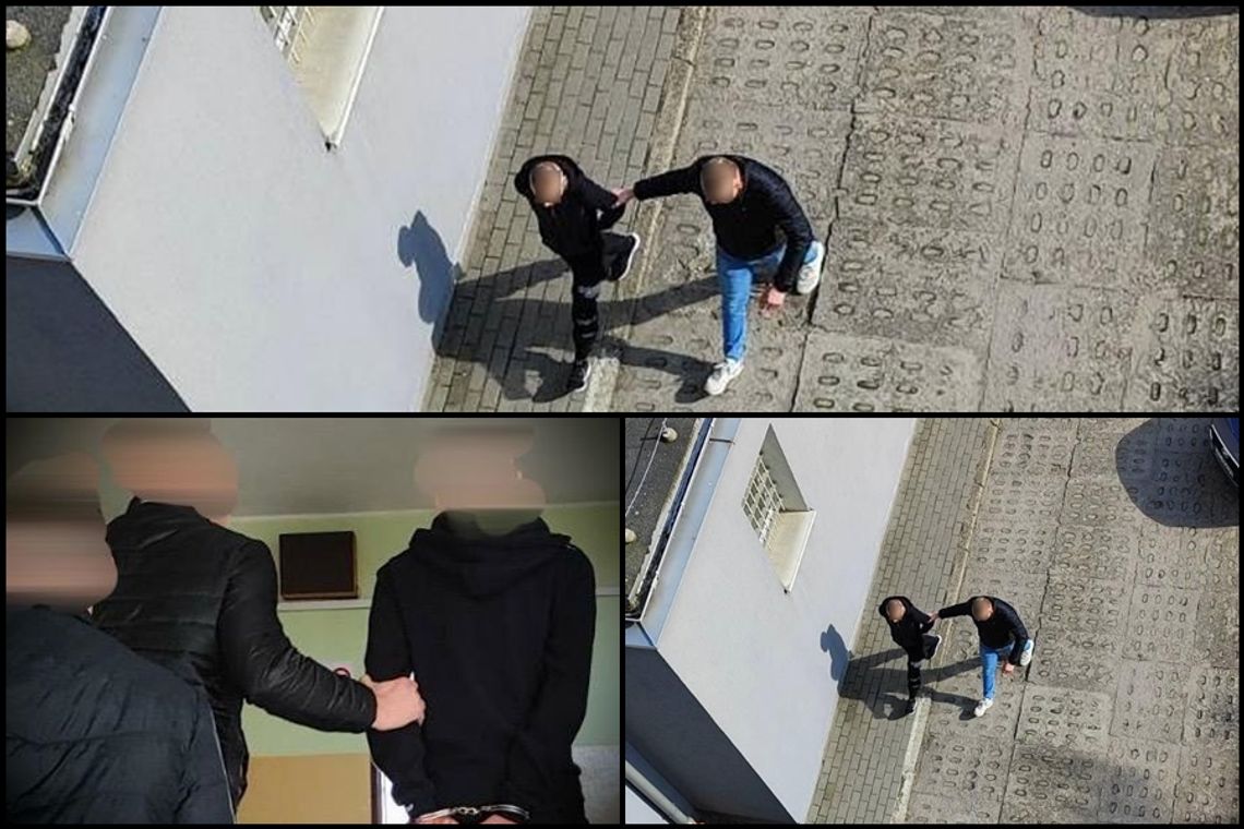 Jedna drobna kradzież to wykroczenie, ale szereg – przestępstwo...