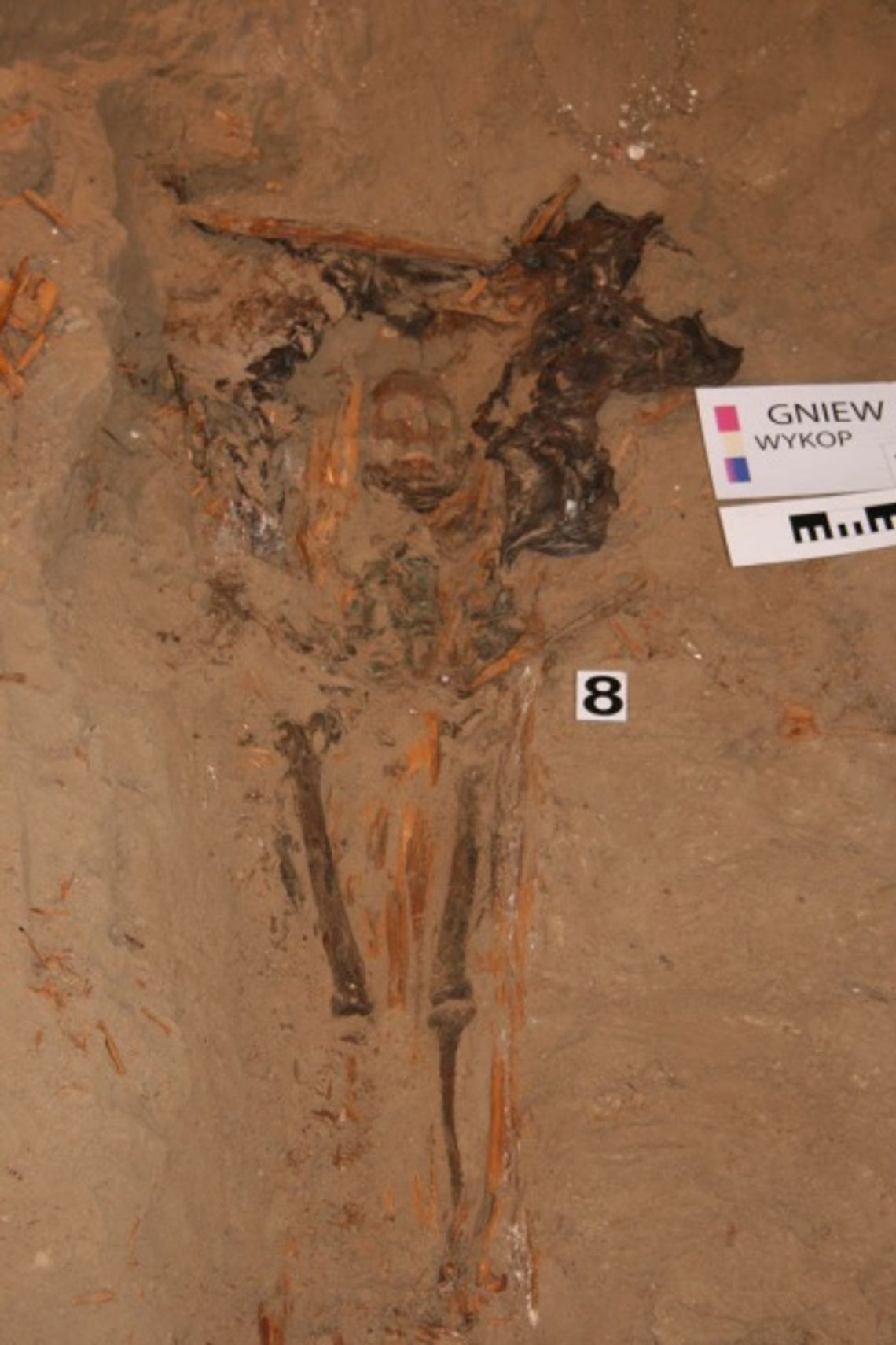 Jedzenie w... grobie. Pogańskie obrządki w XVII wieku! Wykopaliska w gniewskim kościele św. Mikołaja Jedzenie w... grobie. Pogańskie obrządki w XVII wieku! Wykopaliska w gniewskim kościele św. Mikołaja