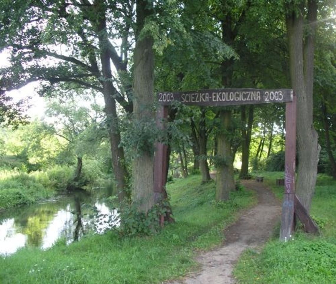 Jesienne porządki z Polpharmą Jesienne porządki z Polpharmą