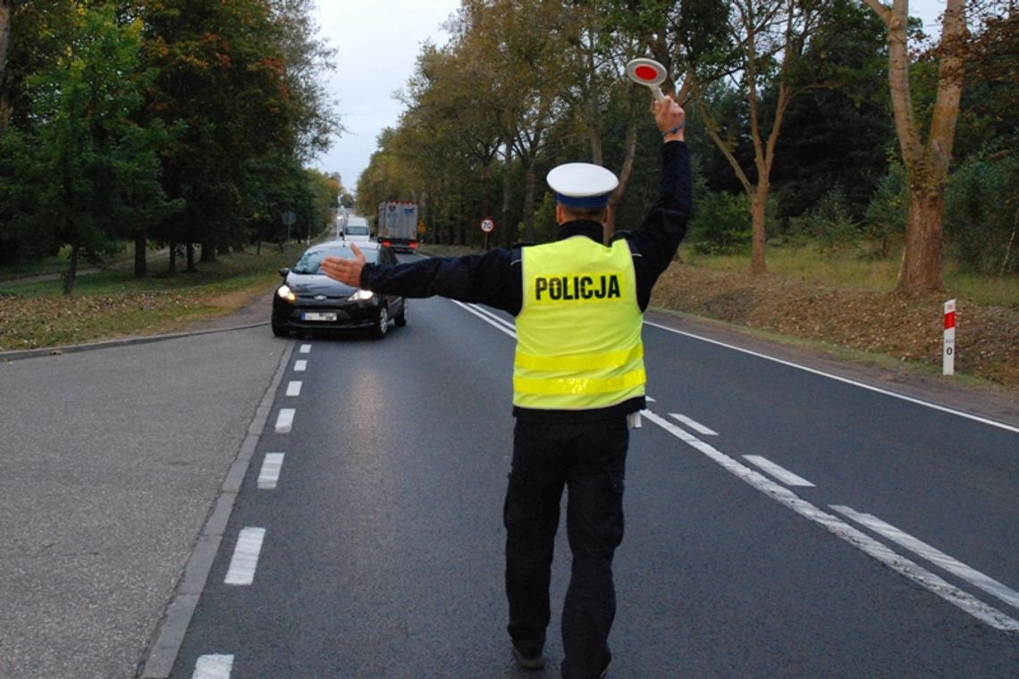 Jest bezpieczniej na Pomorzu. Policjanci przeprowadzili akcję "Bezpieczny Pieszy"