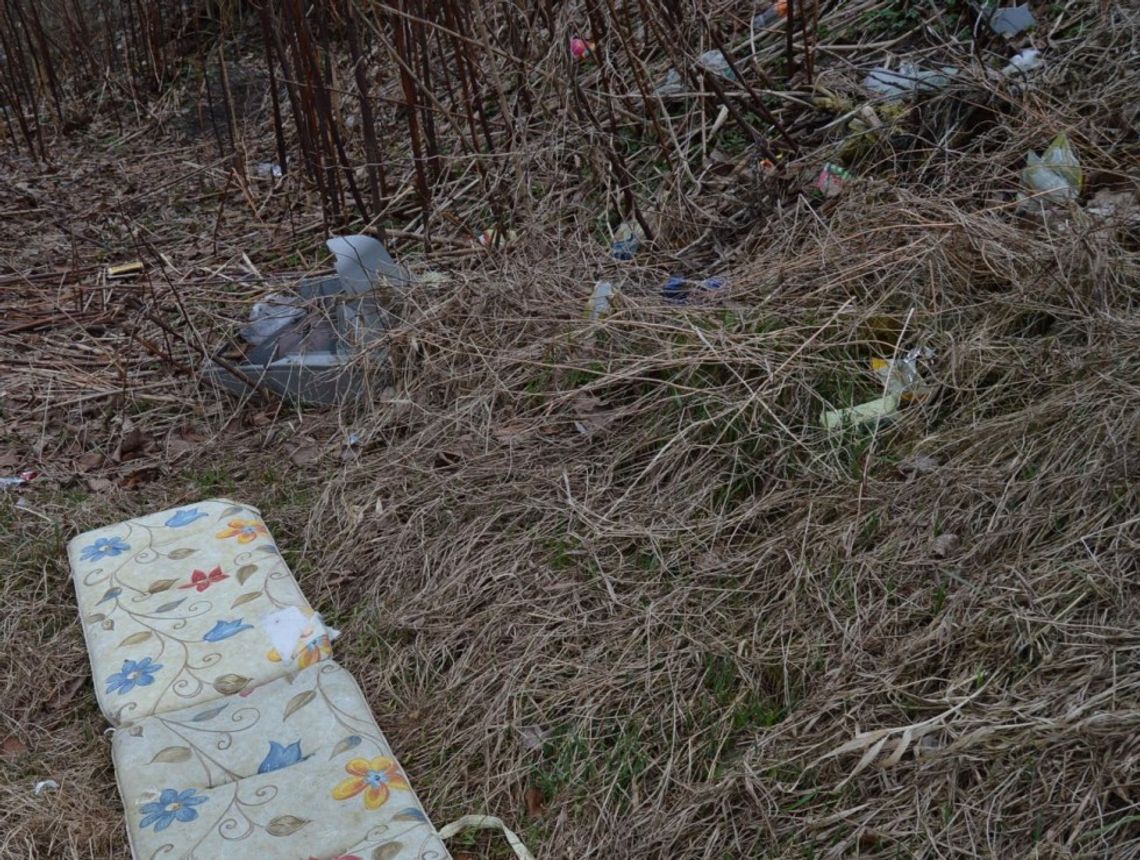 Jest wiosna, są wszędobylskie śmieci. Więc miasto czeka na... aresztantów Jest wiosna, są wszędobylskie śmieci. Więc miasto czeka na... aresztantów