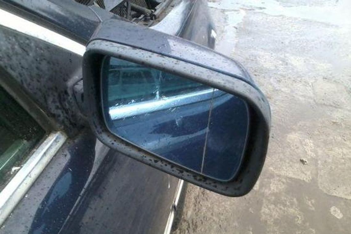 Jeździł bez uprawnień, jego sprawa trafi do sądu