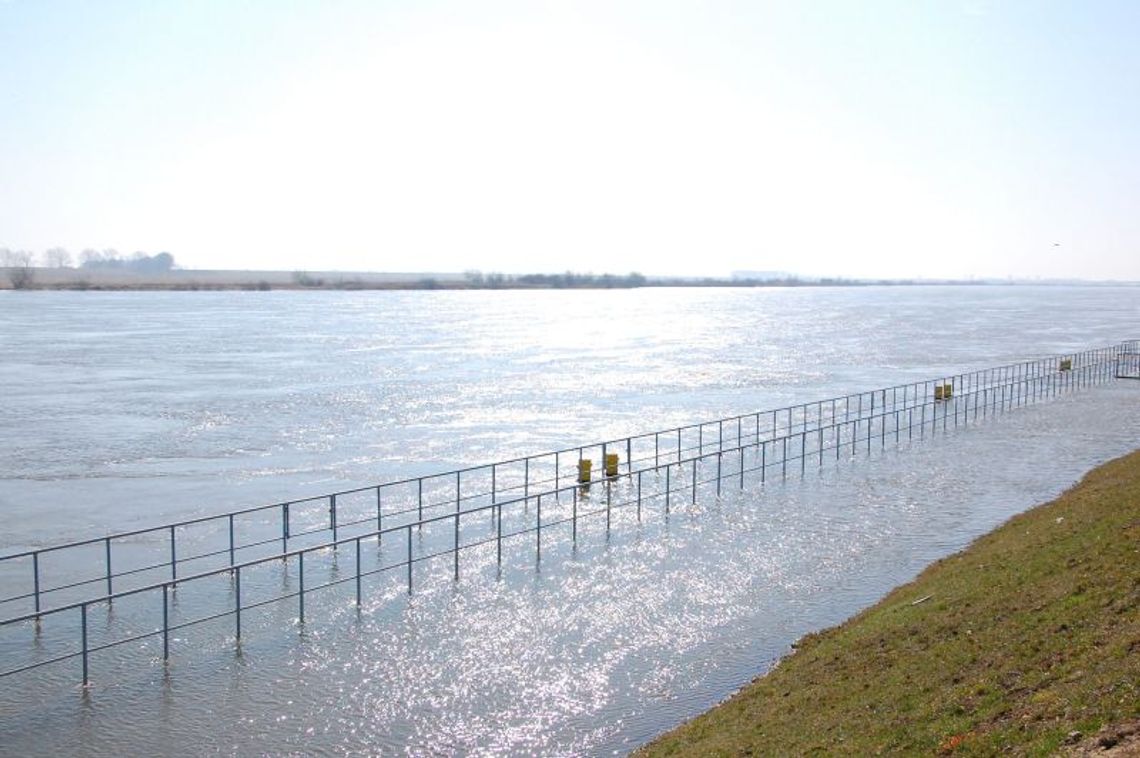 Już 790 cm wody na Wiśle w Tczewie. W piątek stan alarmowy na 90 proc. Już 790 cm wody na Wiśle w Tczewie. W piątek stan alarmowy na 90 proc.