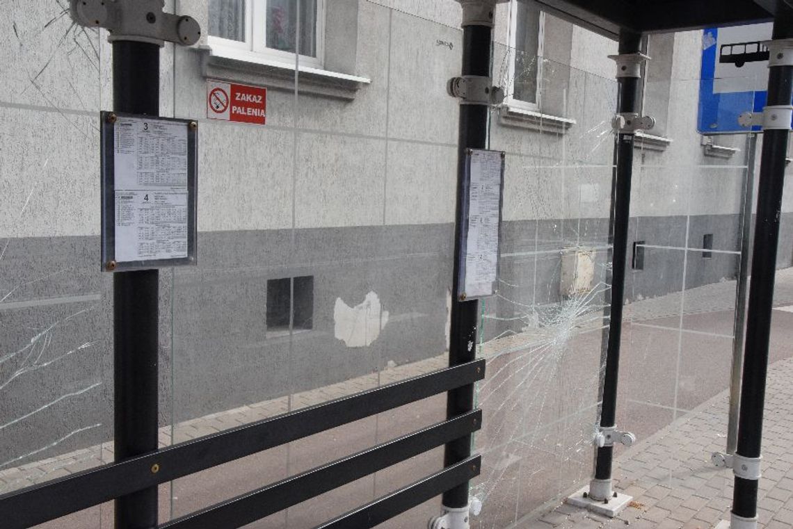 JUŻ W ARESZCIE... NISZCZYCIEL wiat przystankowych, przęseł panoramicznych w mieście. Okazał się nim 21-latek JUŻ W ARESZCIE... NISZCZYCIEL wiat przystankowych, przęseł panoramicznych w mieście. Okazał się nim 21-latek