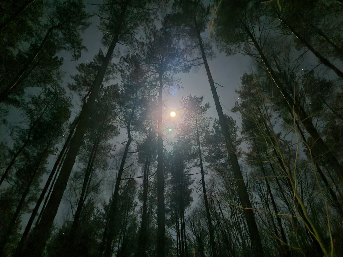 Już w weekend Nocny Rajd na Orientację Malo '25 Już w weekend Nocny Rajd na Orientację Malo '25