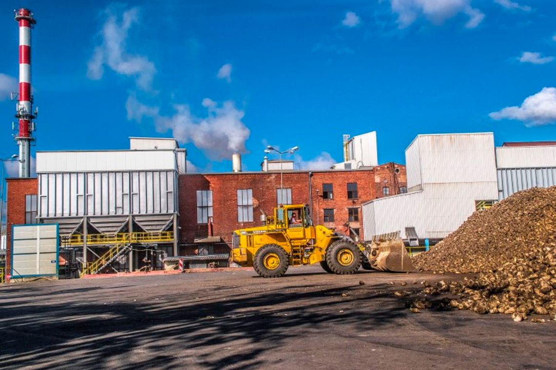 Kampania cukrownicza rozpoczęta Kampania cukrownicza rozpoczęta
