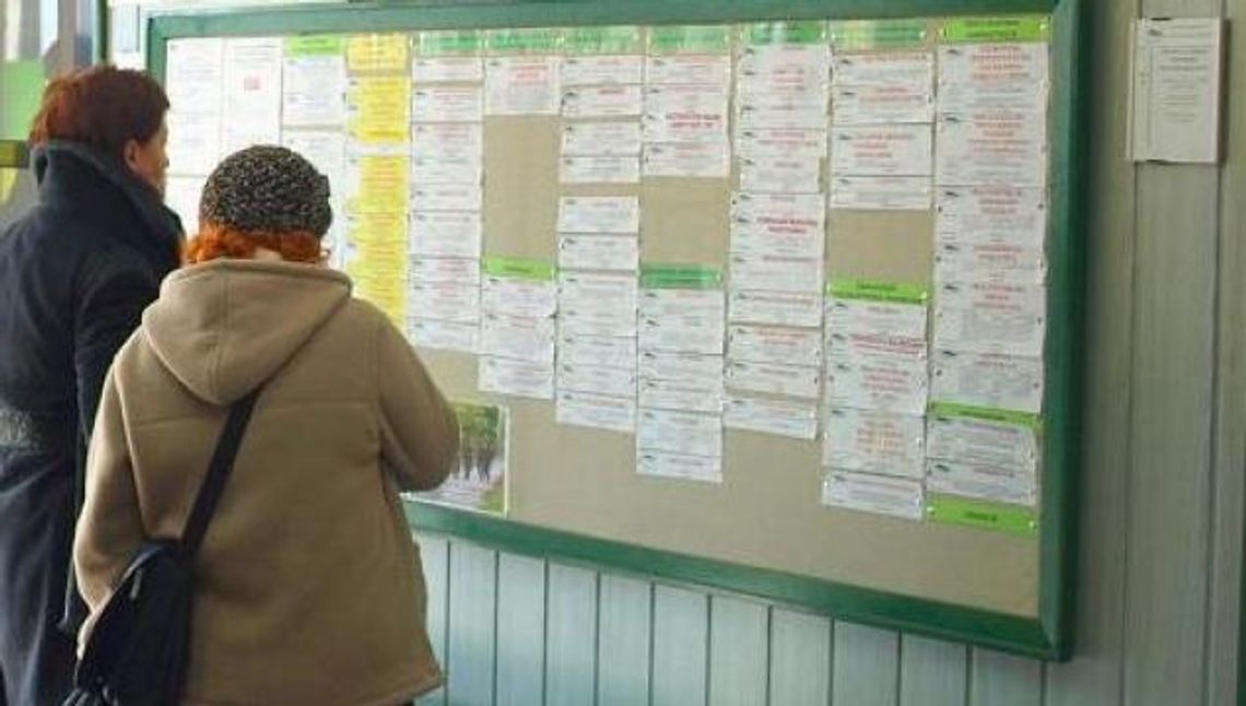 Kelner, mechanik,  kierowca. Szukasz pracy? 108 ofert tczewskiego PUP