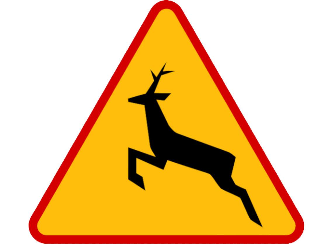 Kierowca potrącił przebiegające dziki. Policjanci apelują o ostrożność Kierowca potrącił przebiegające dziki. Policjanci apelują o ostrożność