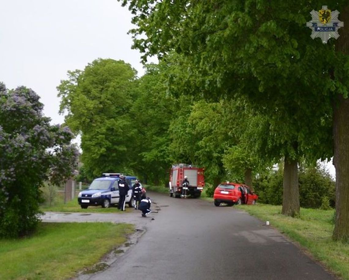 Kierowca uderzył w drzewo Kierowca uderzył w drzewo