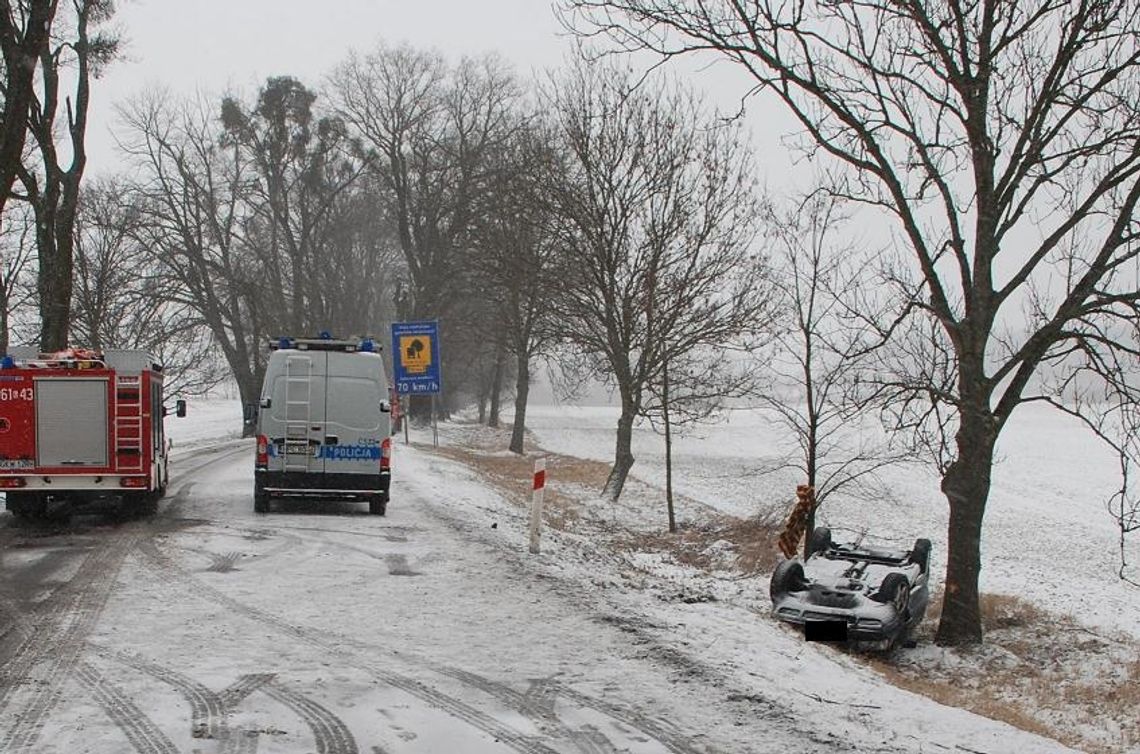 Kierowcy – noga z gazu! Kierowcy – noga z gazu!