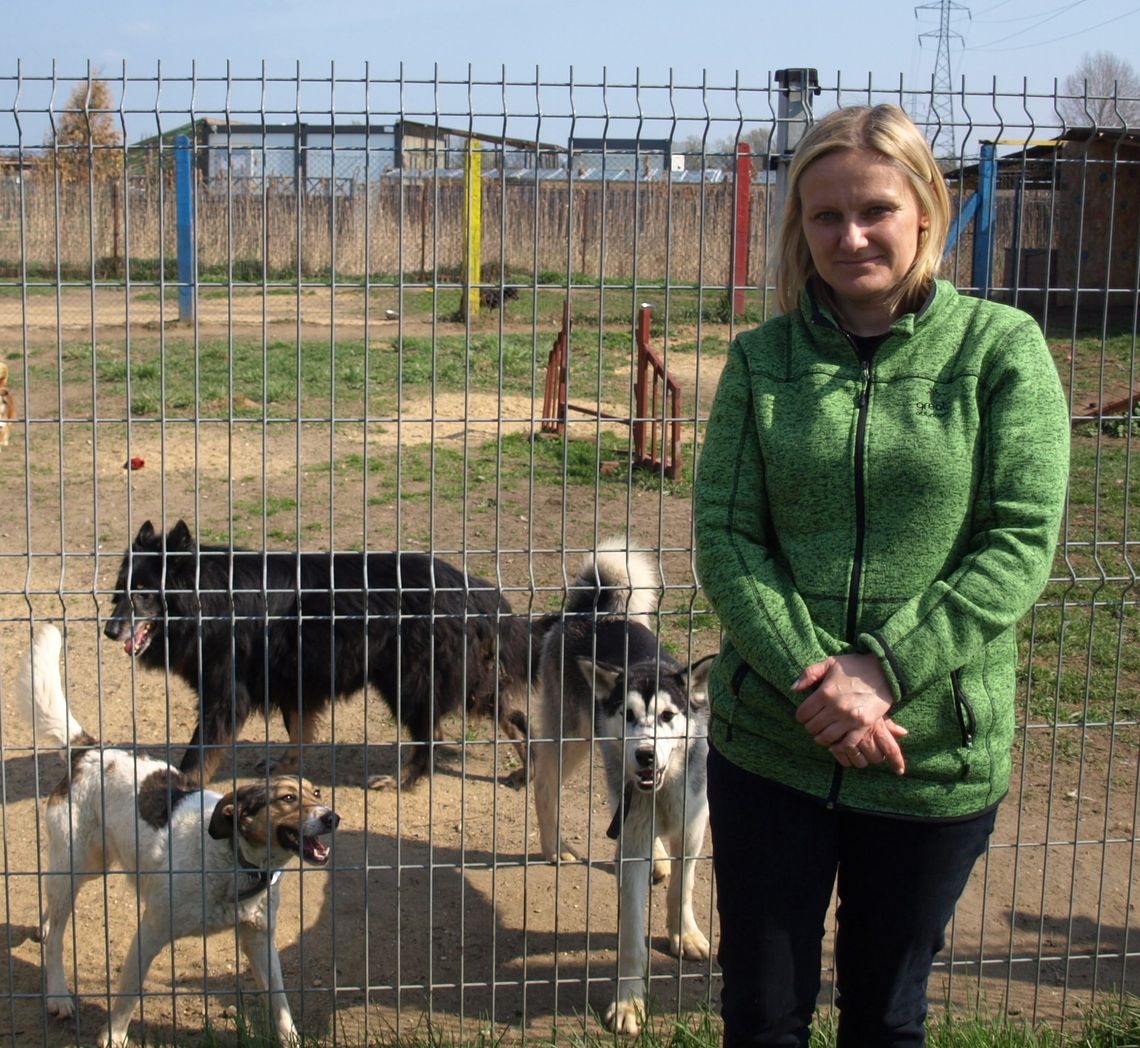 Kierownik schroniska: Ludziom brakuje sumienia i odpowiedzialności