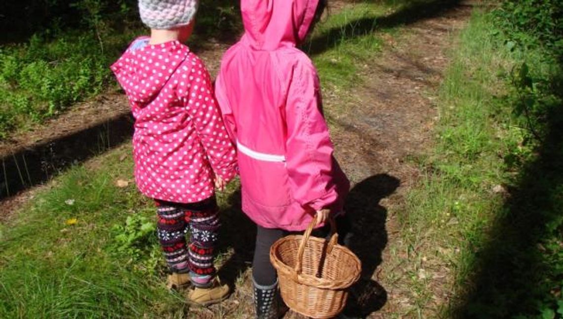 Kleszcze atakują! Jak bronić się przed groźnymi pajęczakami? 