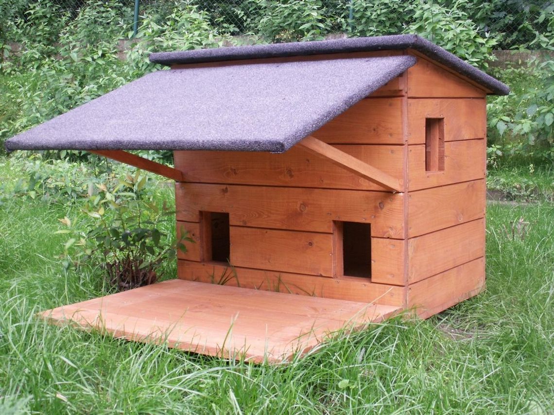 Koci domek do wzięcia Koci domek do wzięcia