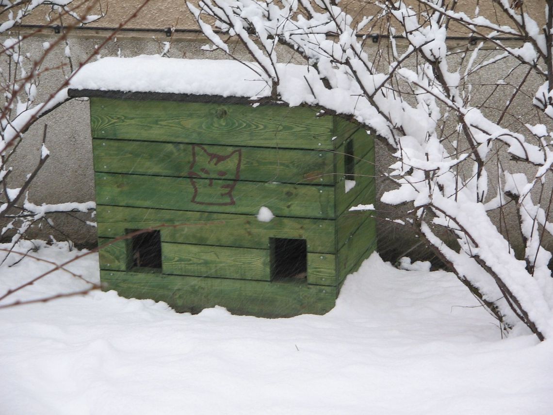 Kocie domki - dla bezdomnych na zimę