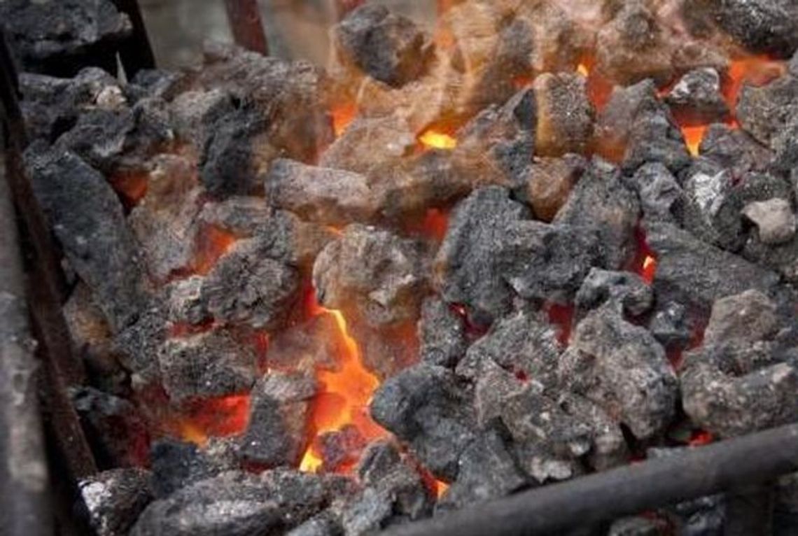 Koksowniki na ulicach Gdańska Koksowniki na ulicach Gdańska