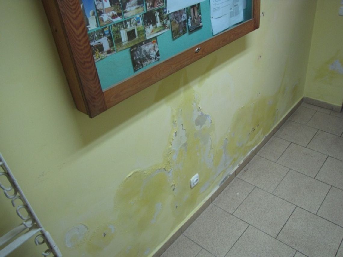 Kombatanci w zamrażalni Kombatanci w zamrażalni