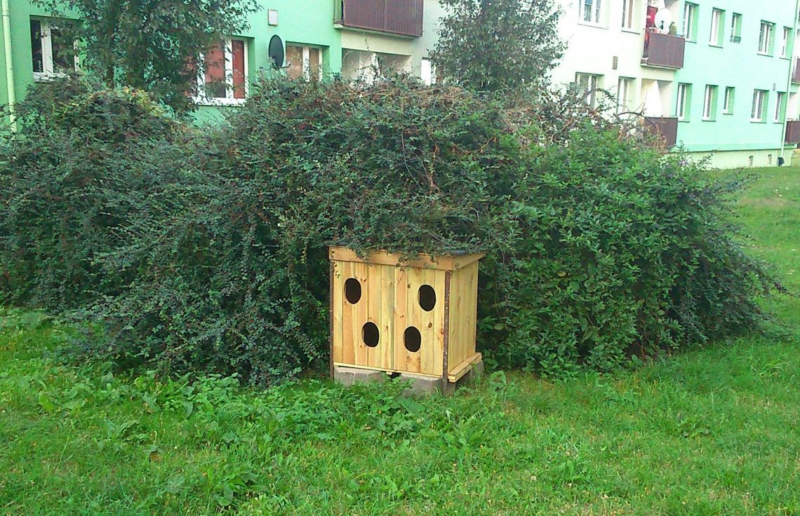 Komu przeszkadza koci domek na Czyżykowie? Komu przeszkadza koci domek na Czyżykowie?