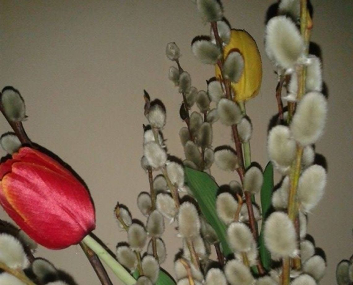 KONKURSY w OPP: Stacja drogi krzyżowej i pisanka wielkanocna KONKURSY w OPP: Stacja drogi krzyżowej i pisanka wielkanocna