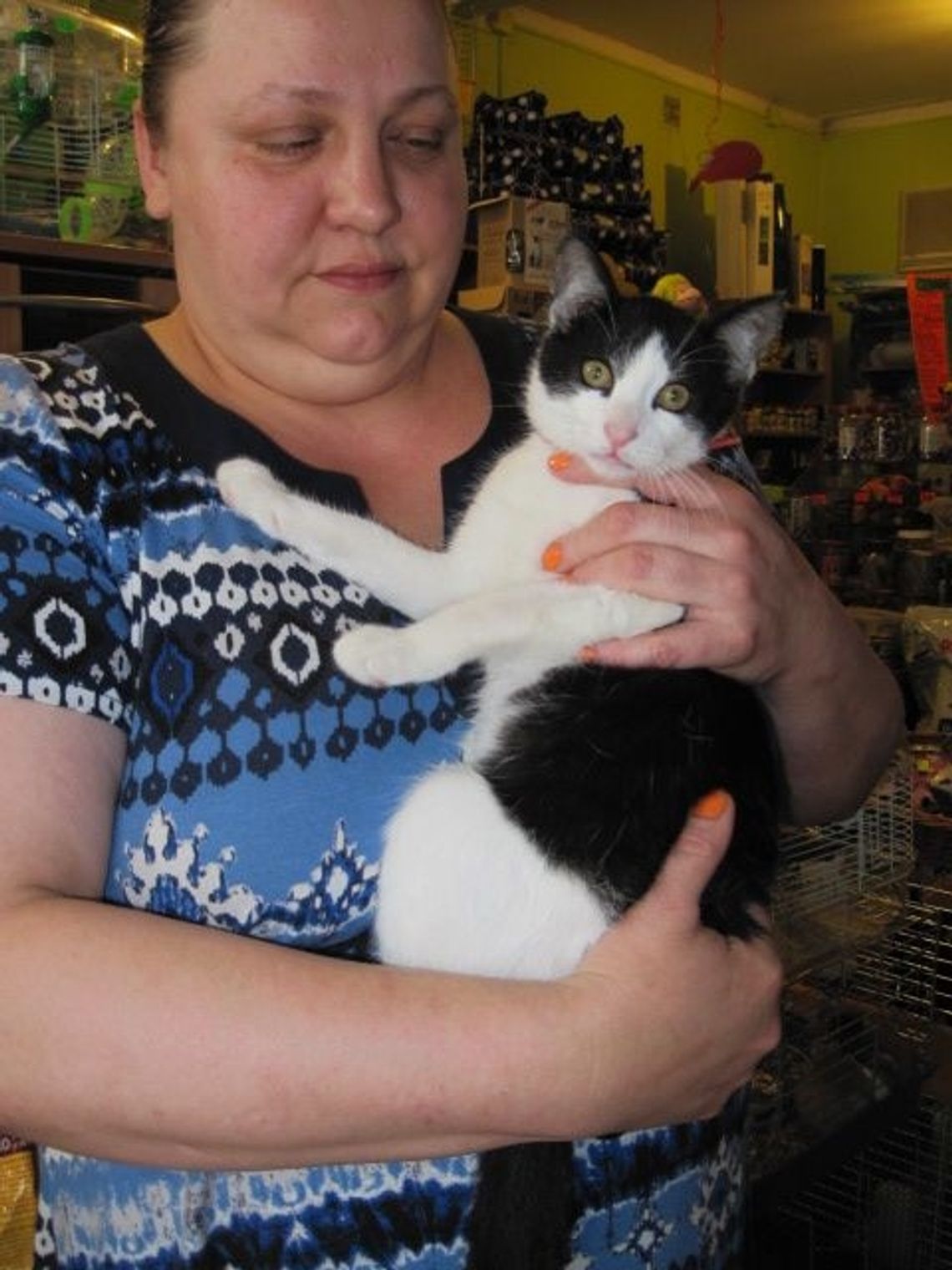 Kotek znalazł pomoc w... sklepie zoologicznym Kotek znalazł pomoc w... sklepie zoologicznym