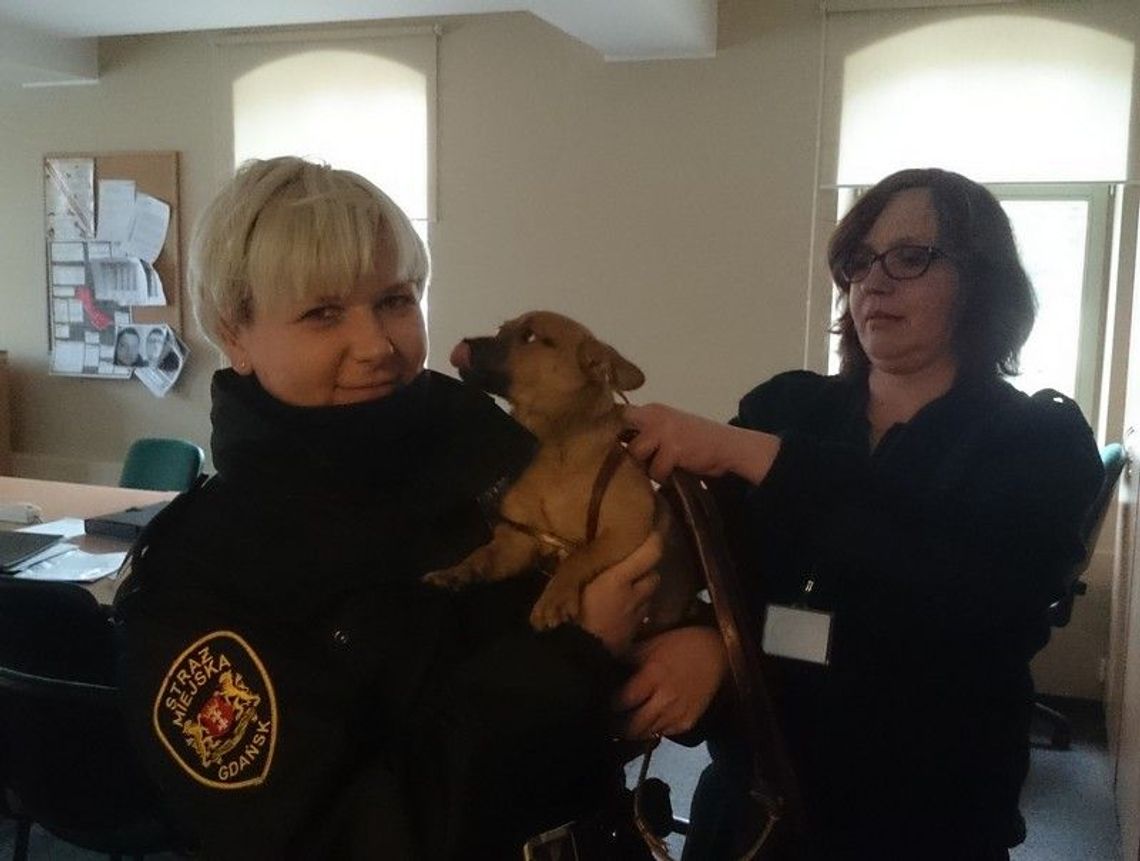 Kropka w kropce. Historia z happy endem