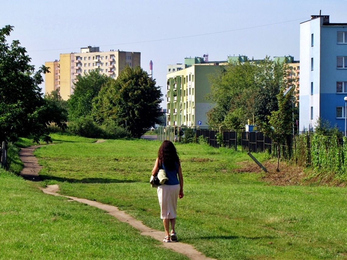 Kto nie chce Nowosuchostrzyckiej?  