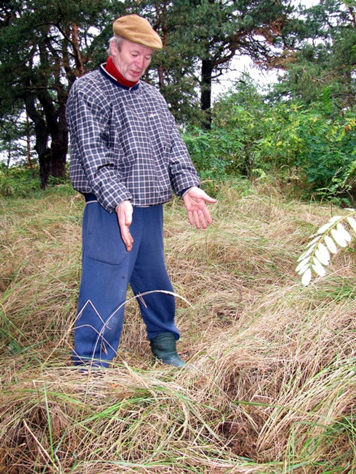 Kupił działkę z grobami… Dokopał się do guzików