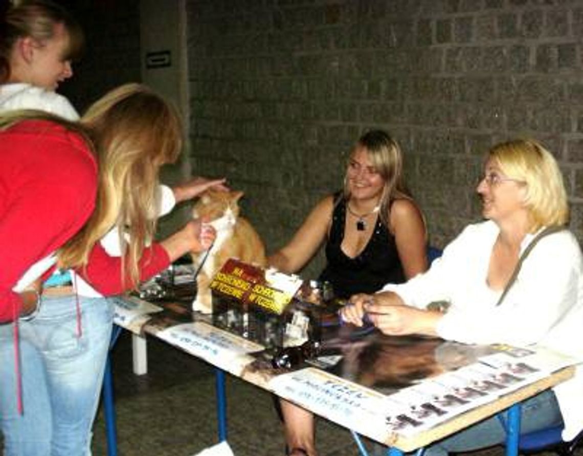 Kwesta dla psów Kwesta dla psów