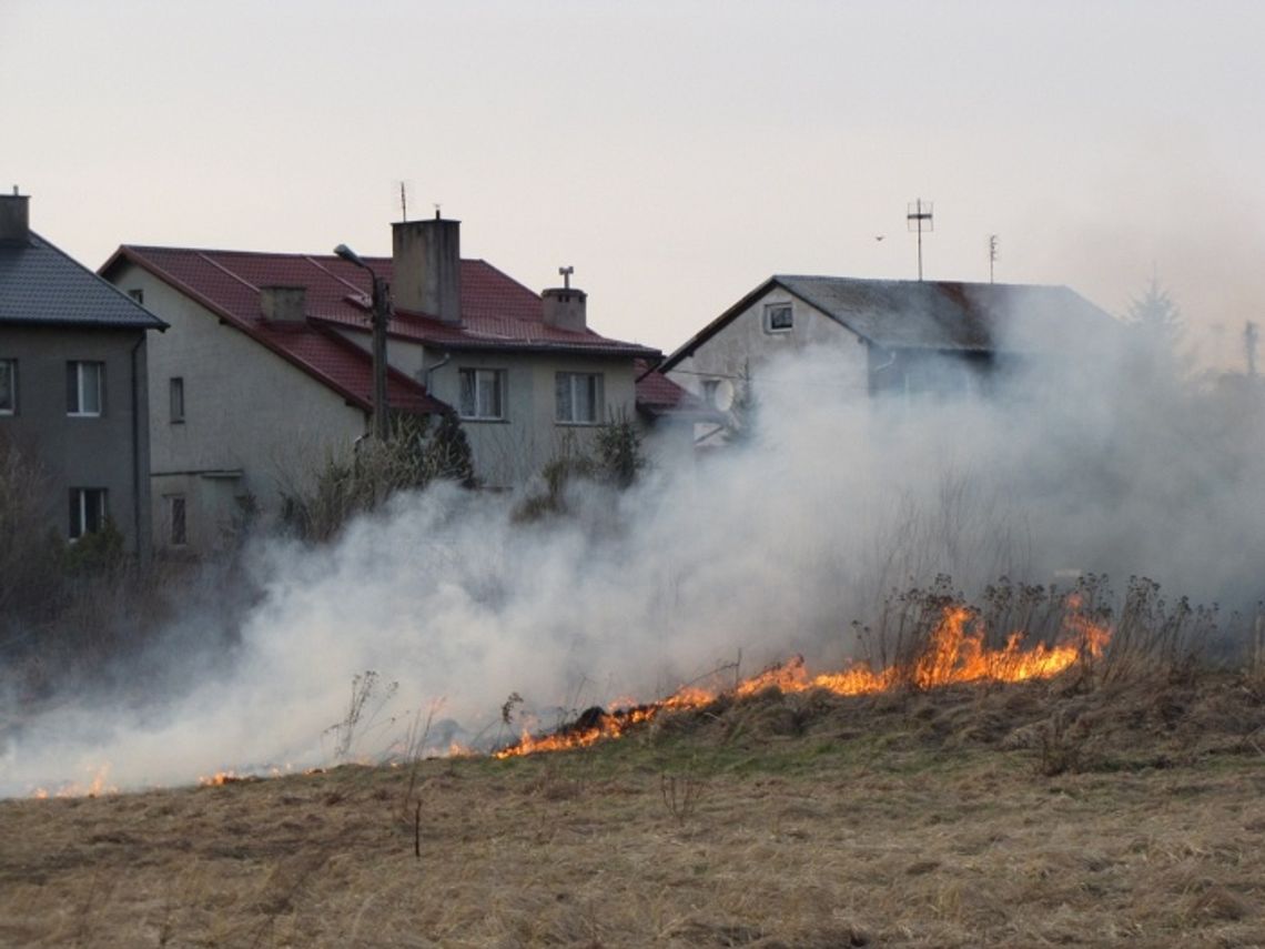 Łąki w płomieniach. Przyroda i ludzkie mienie w niebezpieczeństwie Łąki w płomieniach. Przyroda i ludzkie mienie w niebezpieczeństwie