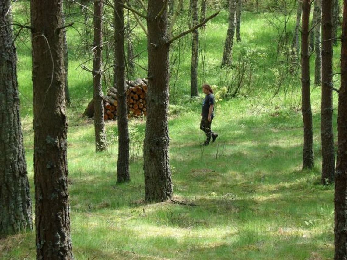 „Las został wycięty w pień”. Wycinka drzew zbulwersowała Czytelników  