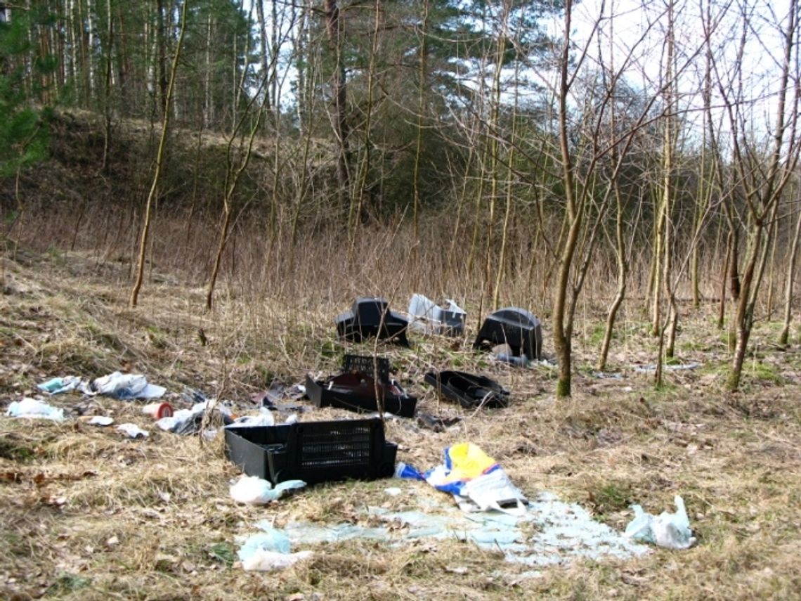 Lasy niczym wysypiska