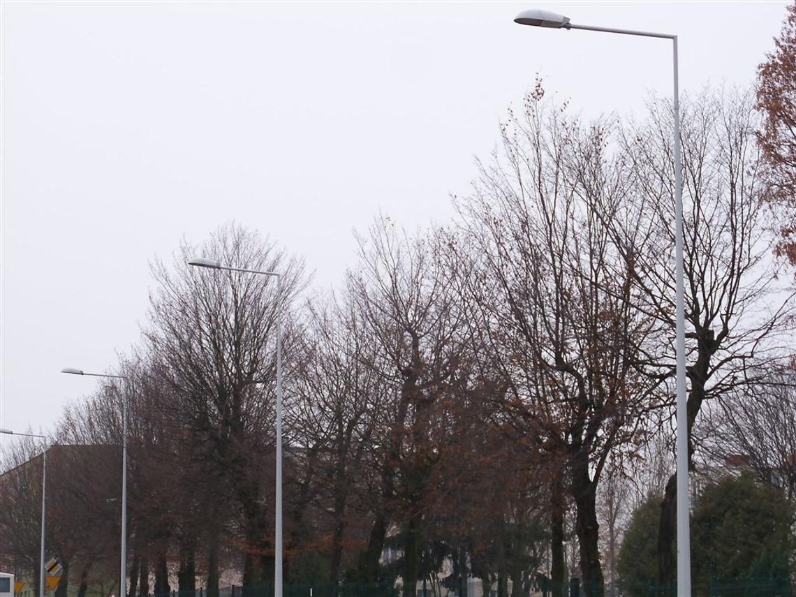 Latarnie wystawione do przetargu