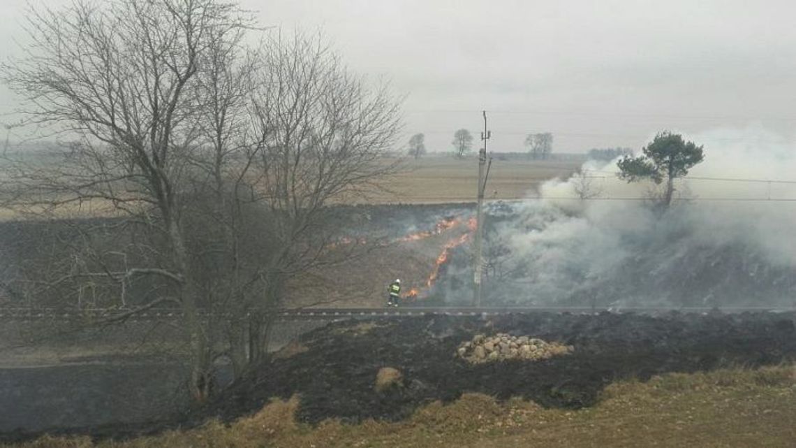 Lawinowy wzrost ilości pożarów traw