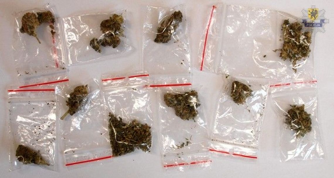 Legitymowany posiadał narkotyki Legitymowany posiadał narkotyki