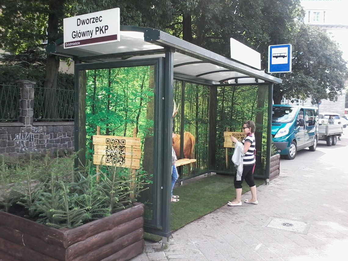 Leśny zagajnik w centrum miasta