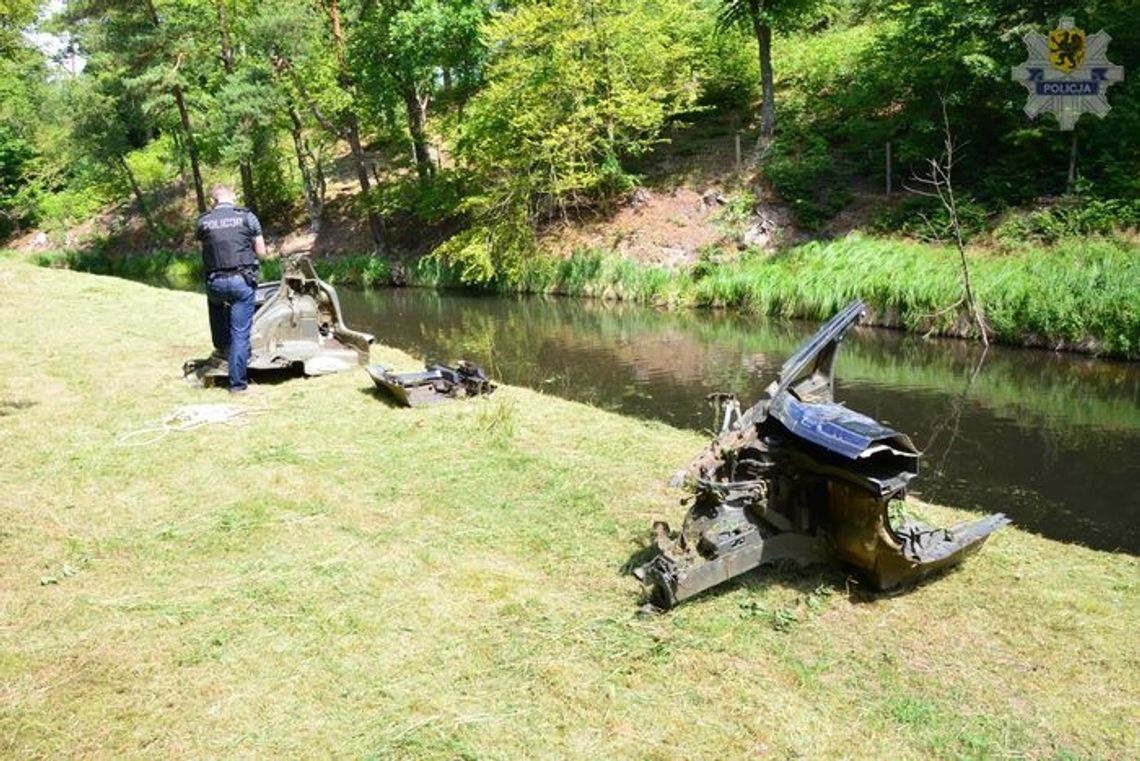 Likwidacja "dziupli" - 11 osób zatrzymanych Likwidacja "dziupli" - 11 osób zatrzymanych