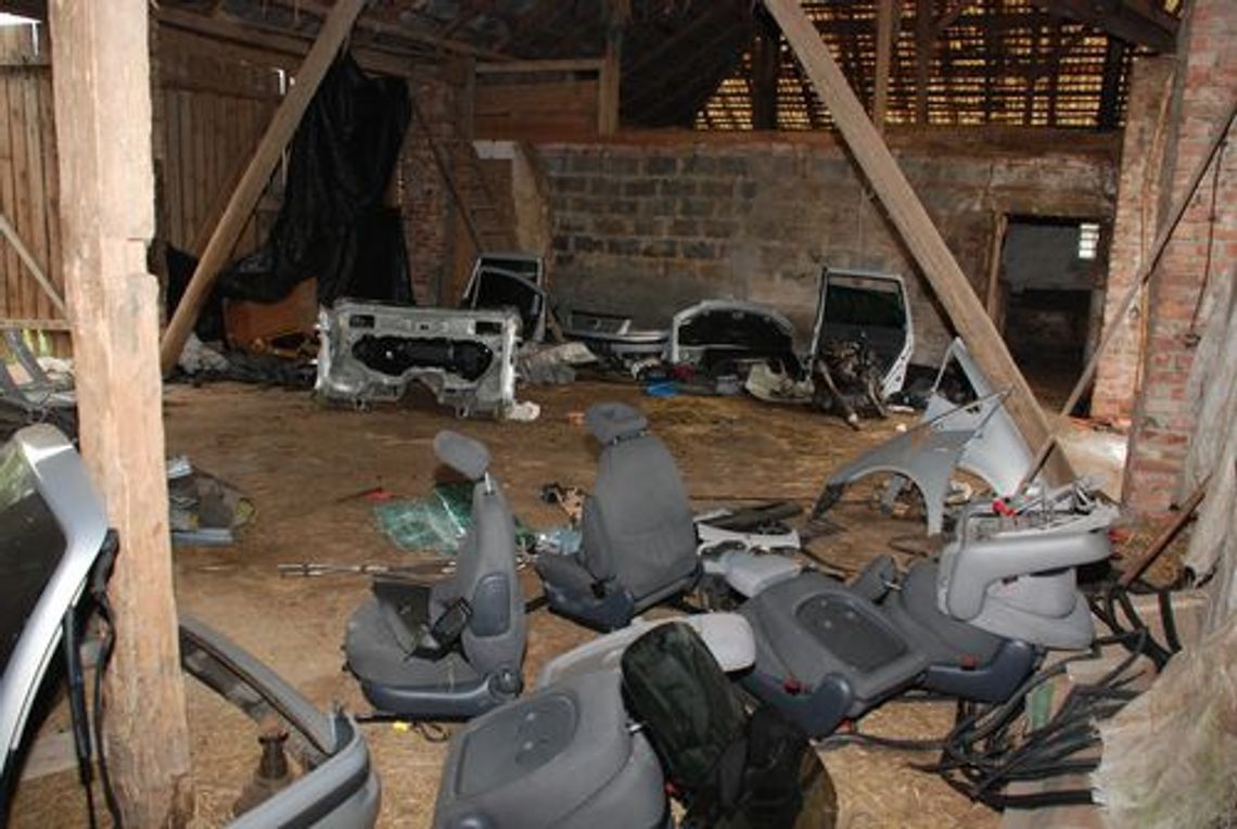 Likwidacja dziupli - ojciec z synem w "ciętym autointeresie"