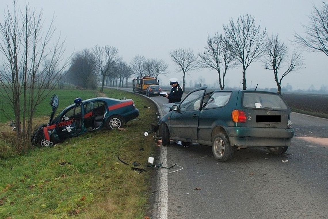 Lis wtargnął pod koła - polo zderzyło się czołowo z wozem strażckim 