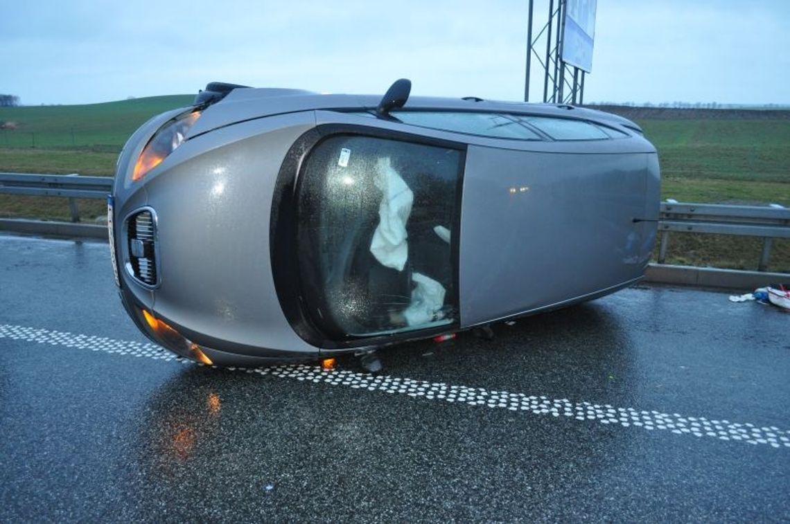 Łoś na autrostradzie. Dachowanie na A1