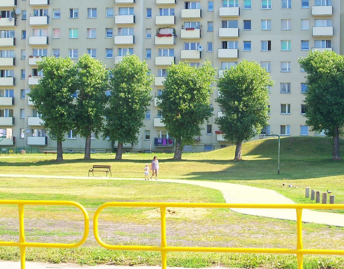 Los topól przesądzony