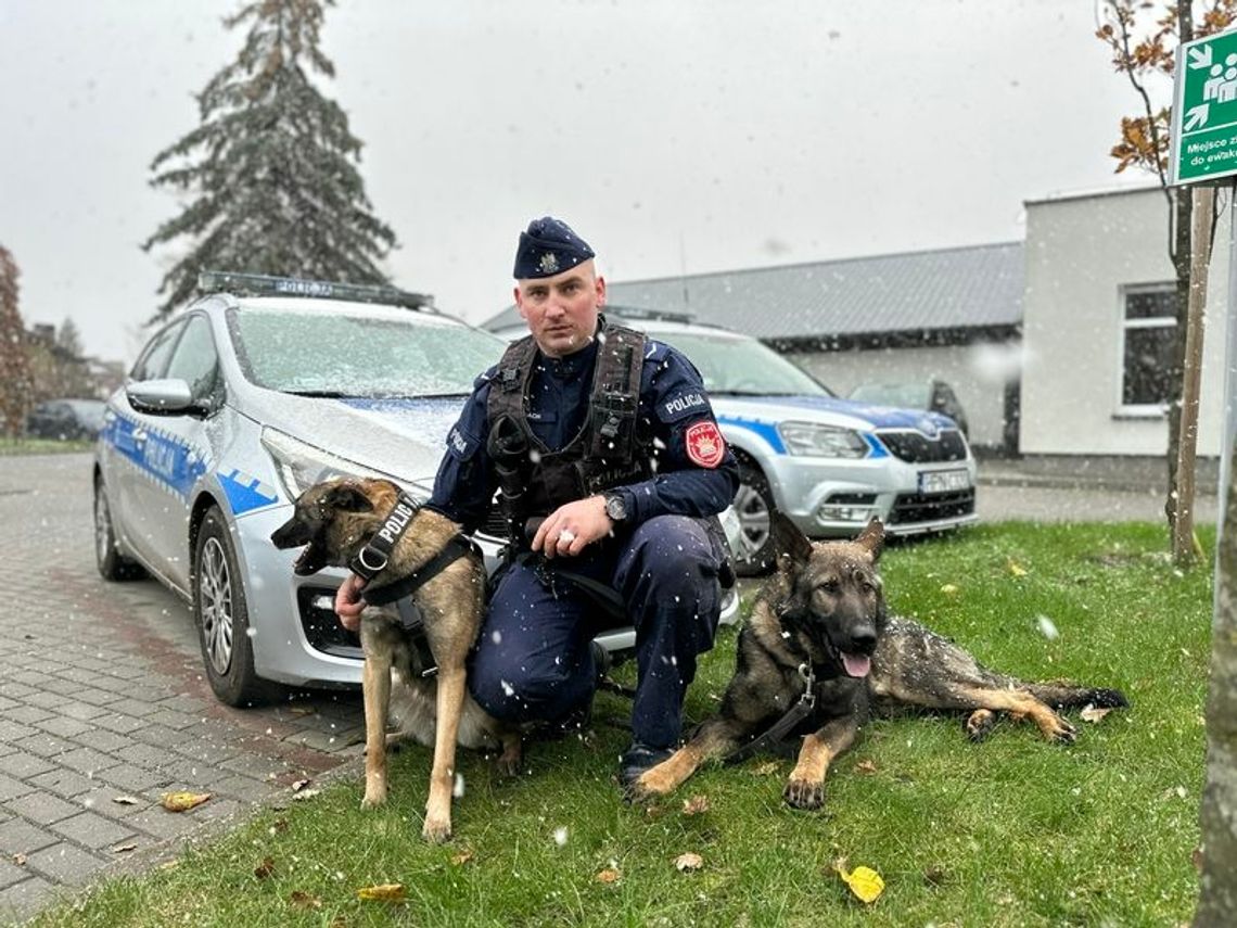 Luna jest nowym psem w wejherowskiej komendzie policji
