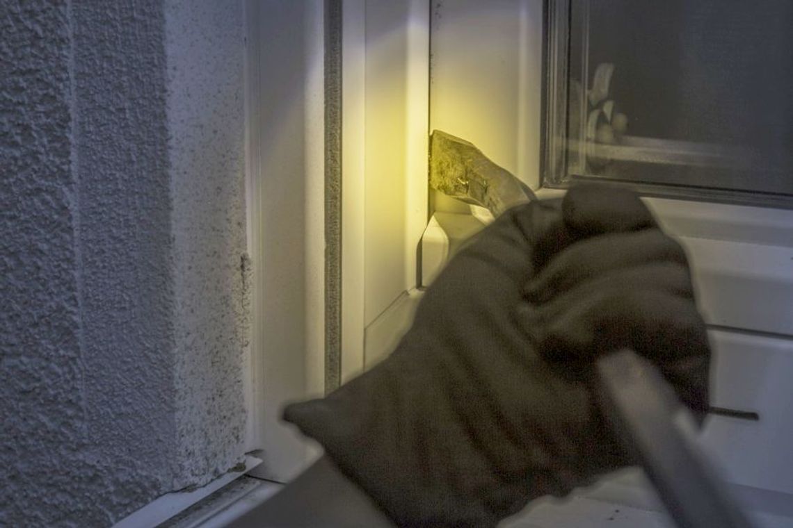 Łupem nastoletniego złodzieja: przedłużacze, mieszadła i halogeny ledowe Łupem nastoletniego złodzieja: przedłużacze, mieszadła i halogeny ledowe