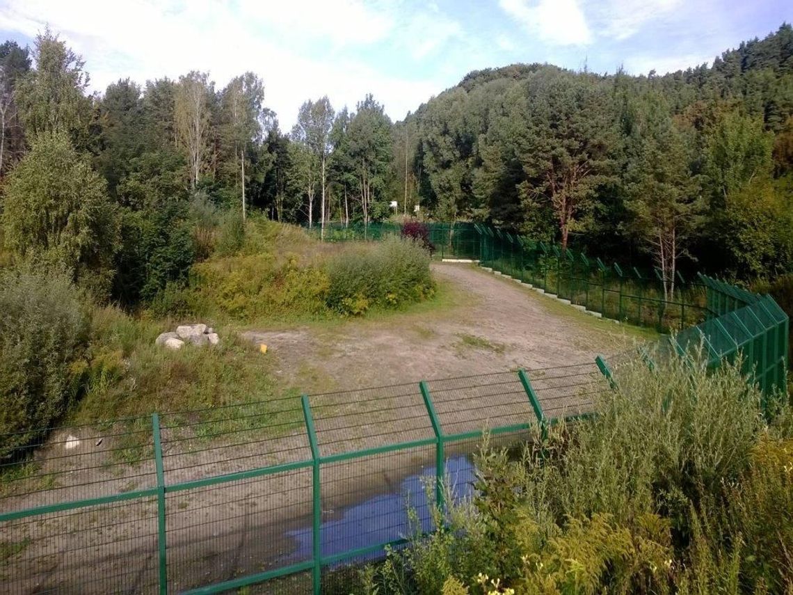 Lwiarnia w oliwskim ZOO