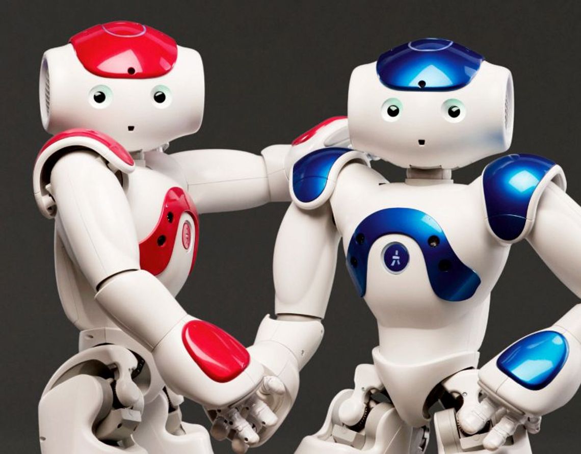 Mają ponad pięćdziesiąt centymetrów wysokości, poczucie humoru, łaskotki