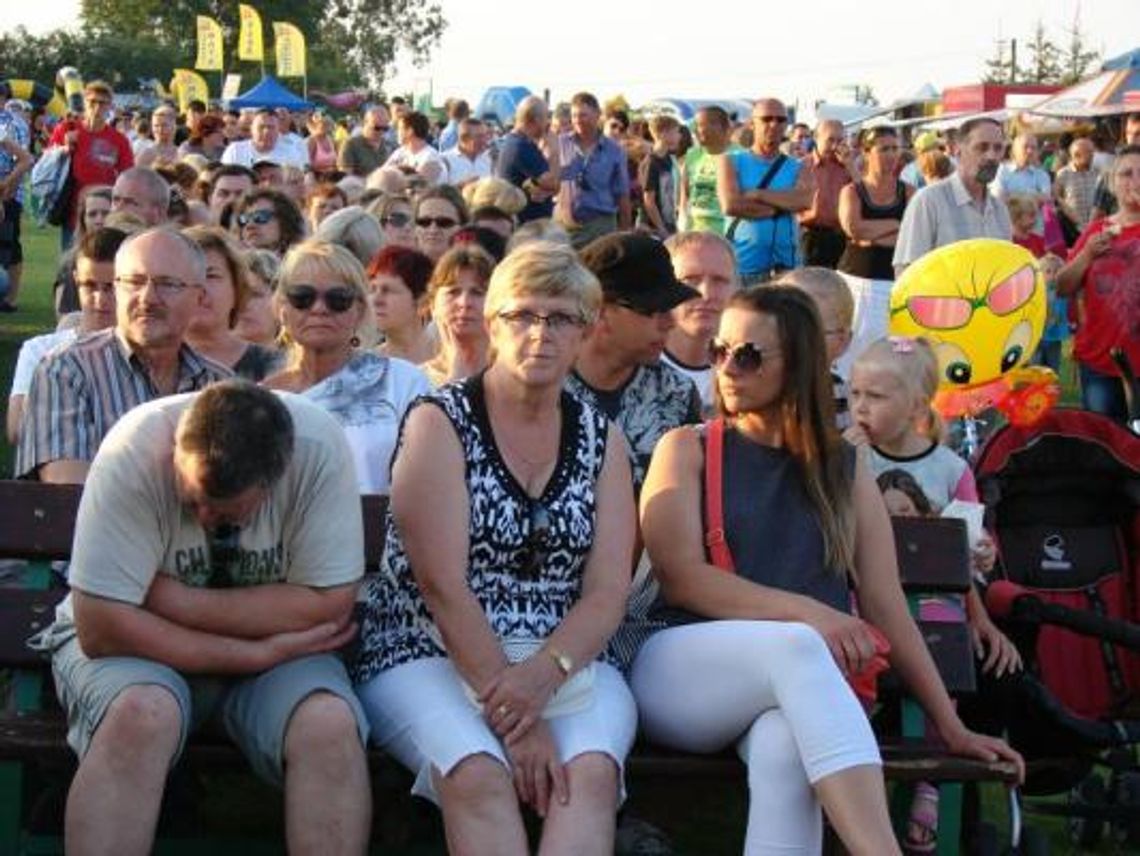 MAJÓWKA – co, gdzie, kiedy? MAJÓWKA – co, gdzie, kiedy?