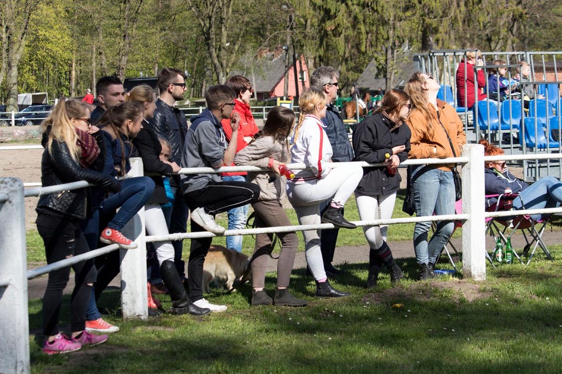 Majówka w Starogardzie Gd. - Zobacz, jak świętowali mieszkańcy! Majówka w Starogardzie Gd. - Zobacz, jak świętowali mieszkańcy!