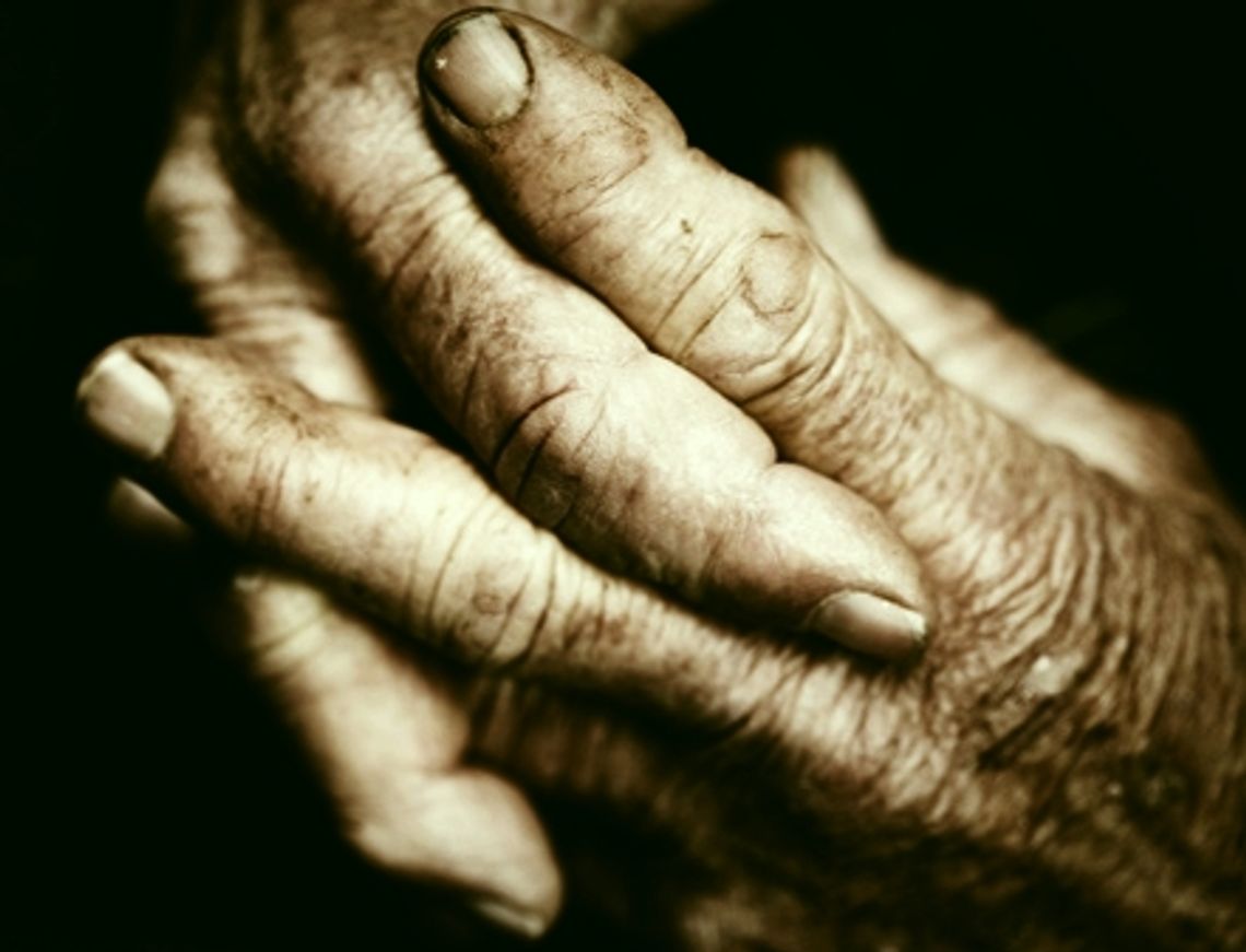 Makabryczne odkrycie na jednym ze starogardzkich osiedli Makabryczne odkrycie na jednym ze starogardzkich osiedli