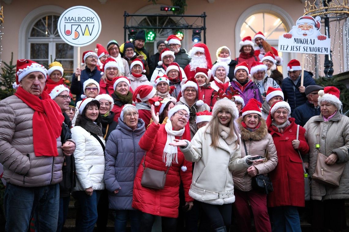 Malborskie Mikołajki. Miejska choinka już rozświetlona