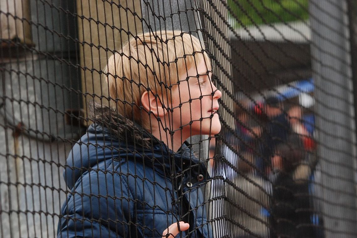 Mali naciągacze na starówce. „Da pani wafelka, da pan trochę frytek”